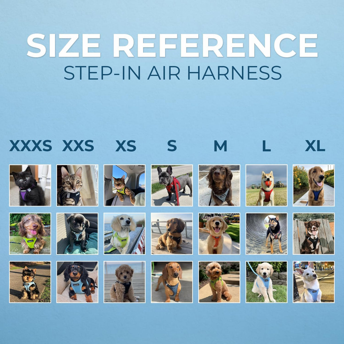 Voyager Step-In Air Harness - Breathable Mesh, Reflective, No Pull Harness for Dogs & Cats