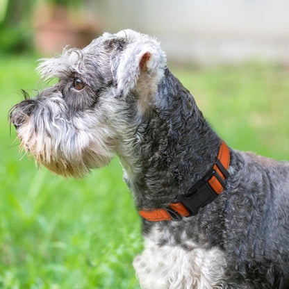 Soft Padded Reflective Dog Collar - Comfortable & Adjustable