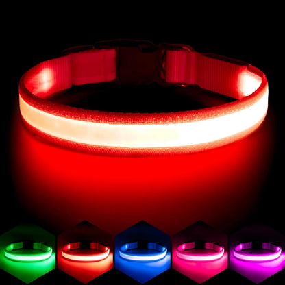 LED Dog Collar, Light up Rechargeable Safety Collar