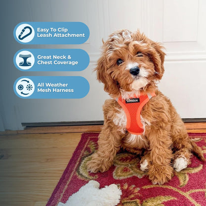 Voyager Step-In Air Harness - Breathable Mesh, Reflective, No Pull Harness for Dogs & Cats