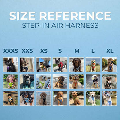 Voyager Step-In Air Harness - Breathable Mesh, Reflective, No Pull Harness for Dogs & Cats