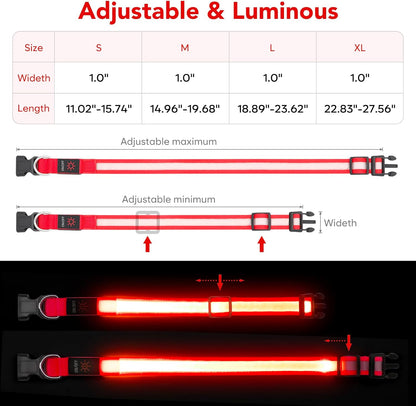 LED Dog Collar, Light up Rechargeable Safety Collar