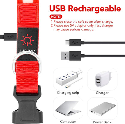 LED Dog Collar, Light up Rechargeable Safety Collar