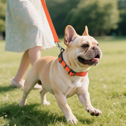 Soft Padded Reflective Dog Collar - Comfortable & Adjustable