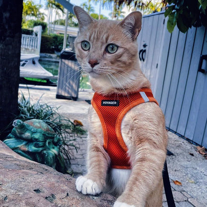 Voyager Step-In Air Harness - Breathable Mesh, Reflective, No Pull Harness for Dogs & Cats