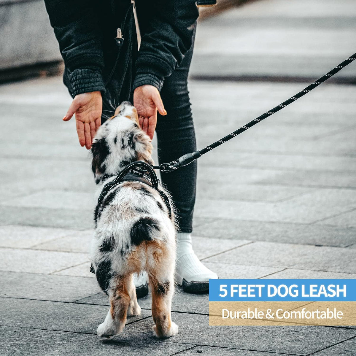 Reflective Dog Leash with Padded Handle - Heavy Duty, Night Safety