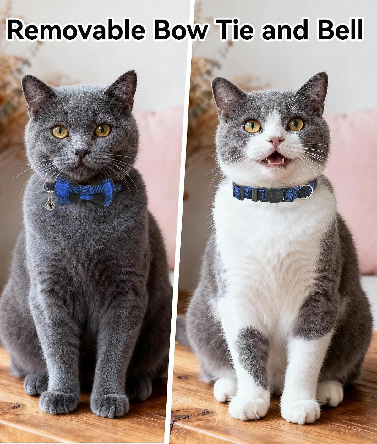 Cat Collar with Bell and Bow Tie - Breakaway Safety Kitten Collar